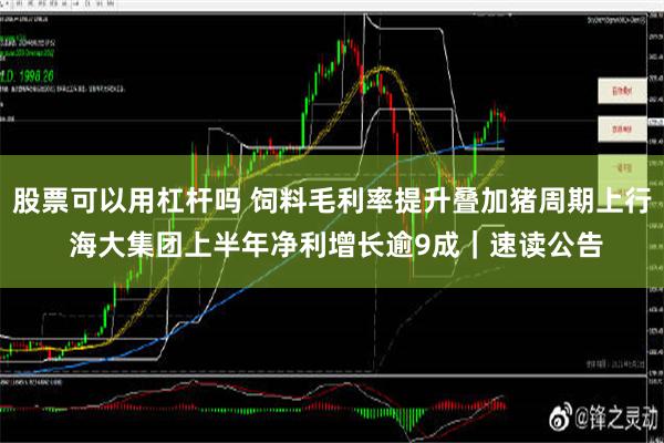 股票可以用杠杆吗 饲料毛利率提升叠加猪周期上行 海大集团上半年净利增长逾9成｜速读公告