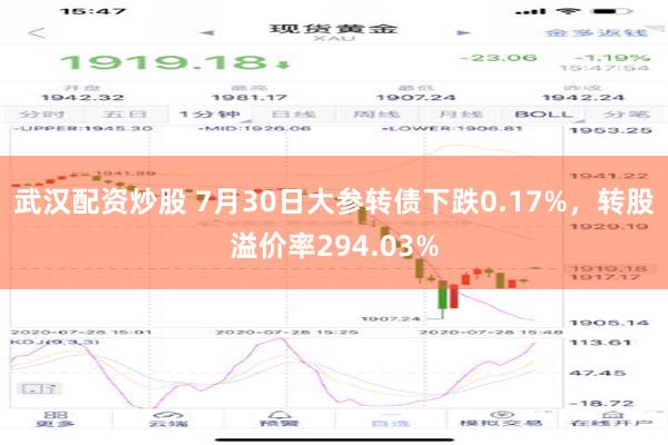 武汉配资炒股 7月30日大参转债下跌0.17%，转股溢价率294.03%