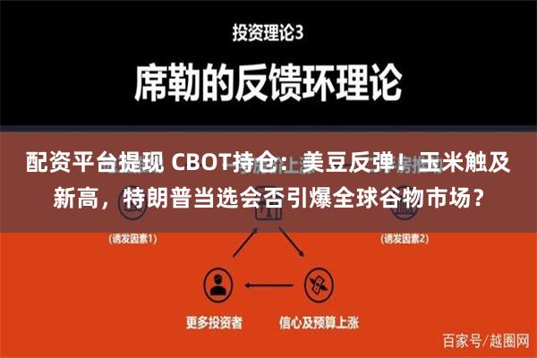 配资平台提现 CBOT持仓：美豆反弹！玉米触及新高，特朗普当选会否引爆全球谷物市场？